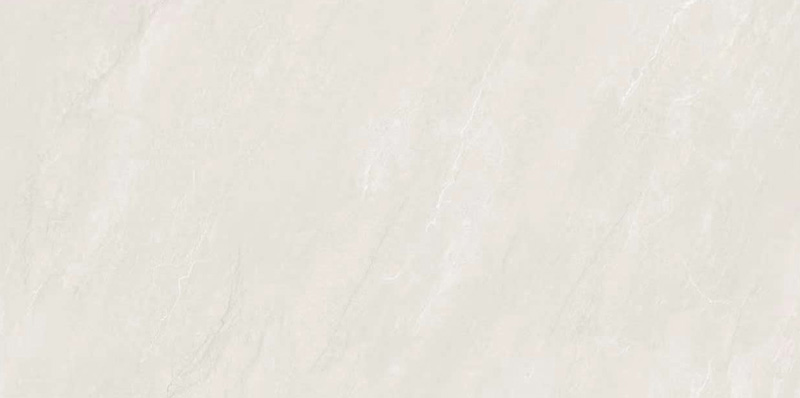 JH48202